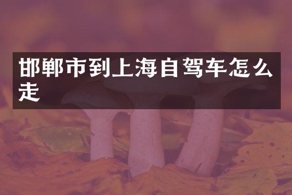 邯郸市到上海自驾车怎么走