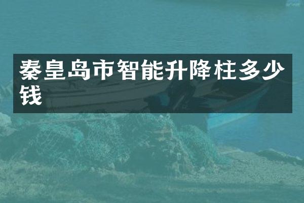 秦皇岛市智能升降柱多少钱