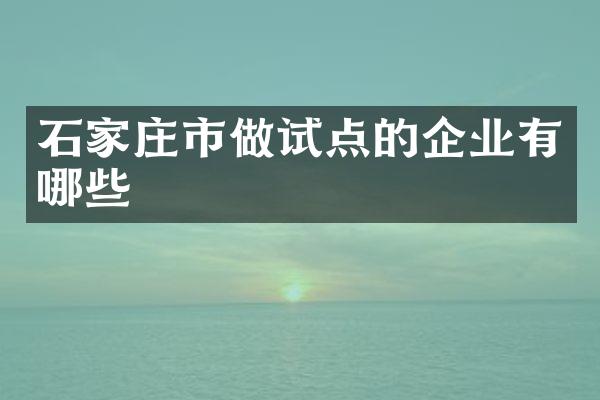 石家庄市做试点的企业有哪些