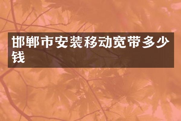 邯郸市安装移动宽带多少钱