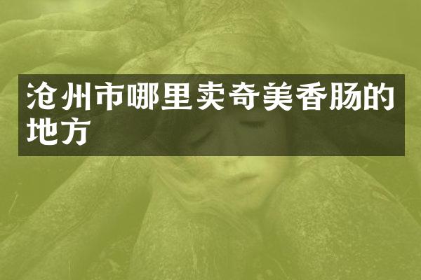 沧州市哪里卖奇美香肠的地方