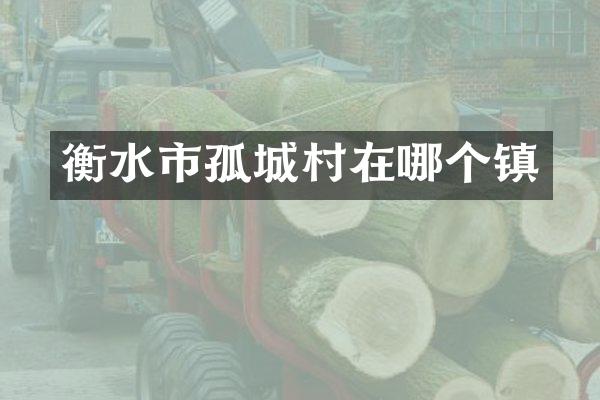 衡水市孤城村在哪个镇