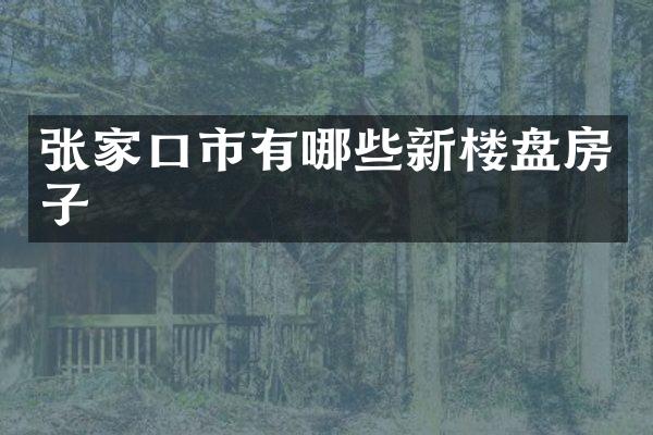 张家口市有哪些新楼盘房子