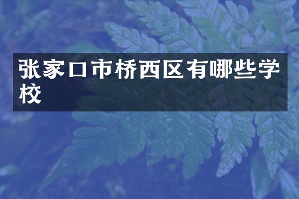 张家口市桥西区有哪些学校