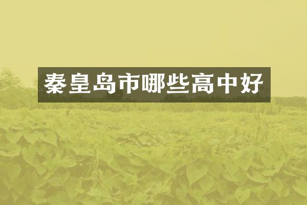 秦皇岛市哪些高中好