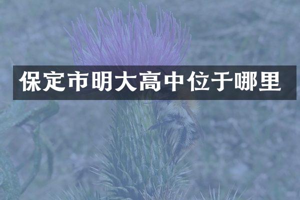 保定市明大高中位于哪里