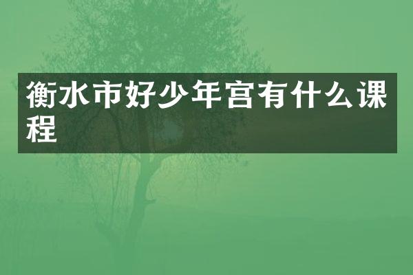 衡水市好少年宫有什么课程