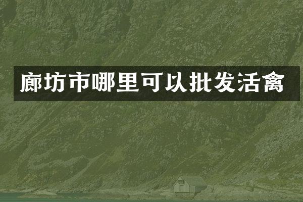 廊坊市哪里可以批发活禽