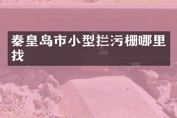 秦皇岛市小型拦污栅哪里找