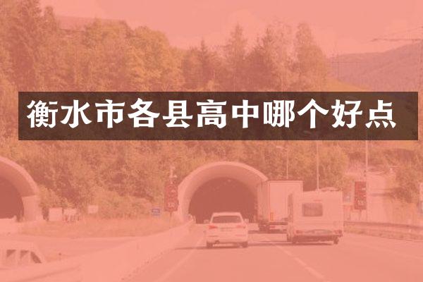 衡水市各县高中哪个好点