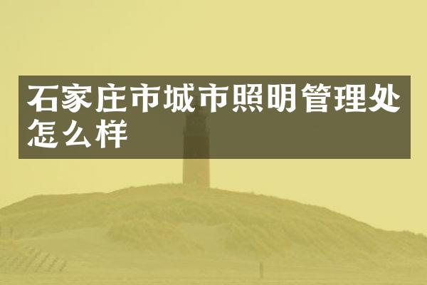 石家庄市城市照明管理处怎么样