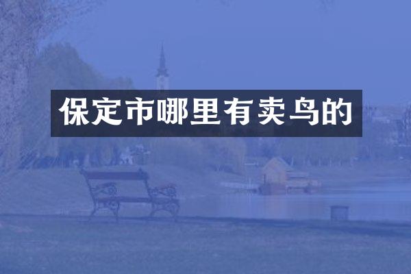 保定市哪里有卖鸟的