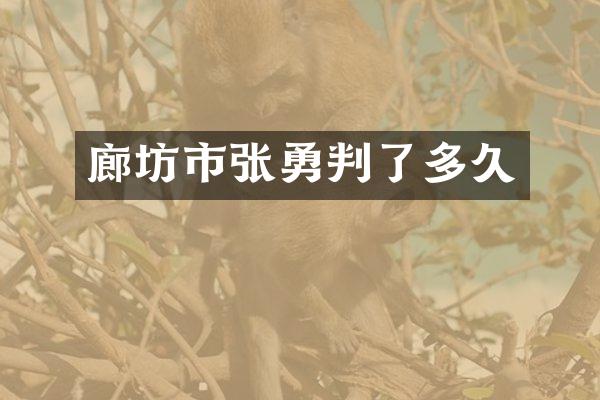 廊坊市张勇判了多久