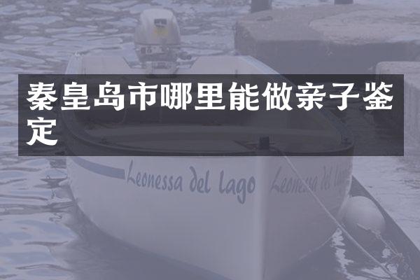 秦皇岛市哪里能做亲子鉴定