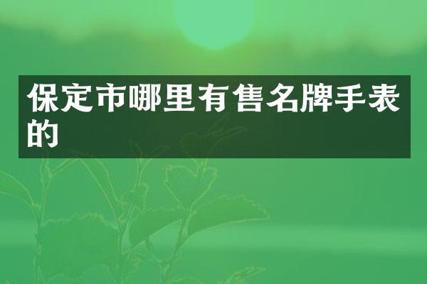 保定市哪里有售名牌手表的