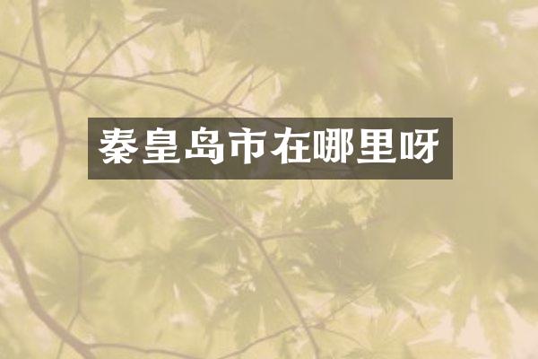 秦皇岛市在哪里呀