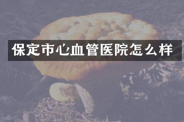 保定市心血管医院怎么样