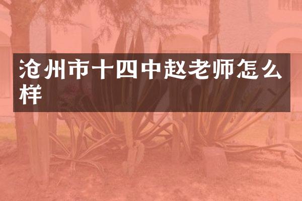 沧州市十四中赵老师怎么样