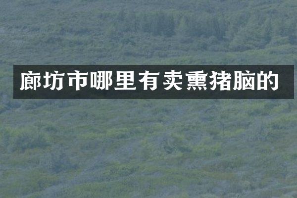 廊坊市哪里有卖熏猪脑的