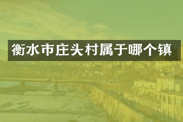 衡水市庄头村属于哪个镇