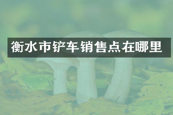 衡水市铲车销售点在哪里