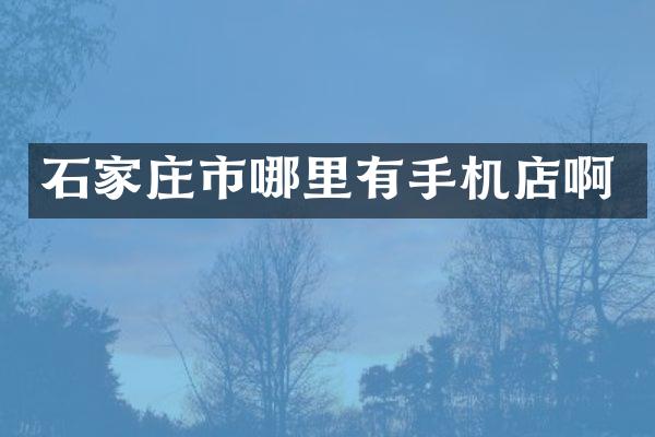 石家庄市哪里有手机店啊