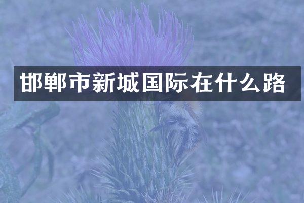 邯郸市新城国际在什么路
