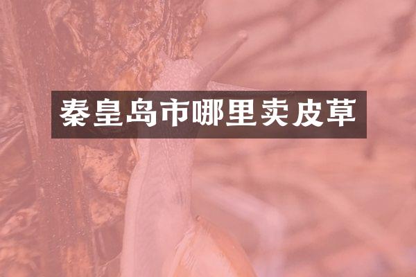 秦皇岛市哪里卖皮草