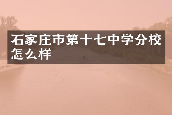 石家庄市第十七中学分校怎么样