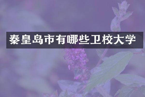 秦皇岛市有哪些卫校大学