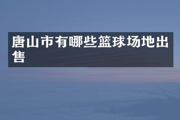 唐山市有哪些篮球场地出售