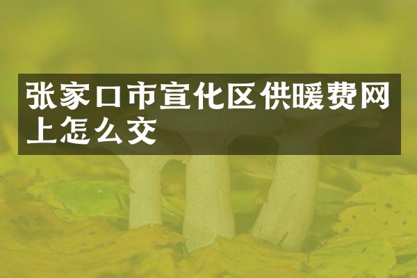 张家口市宣化区供暖费网上怎么交