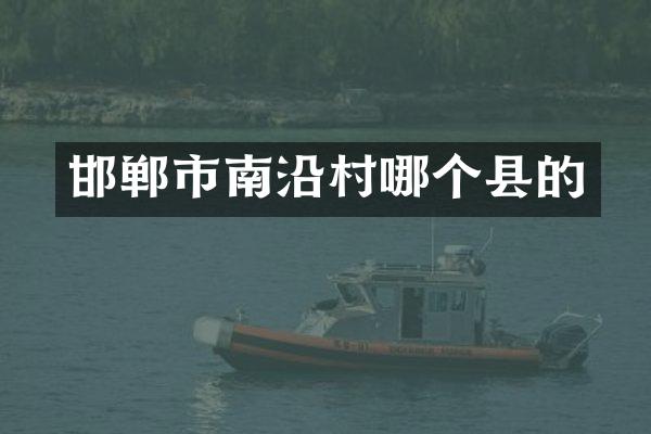 邯郸市南沿村哪个县的