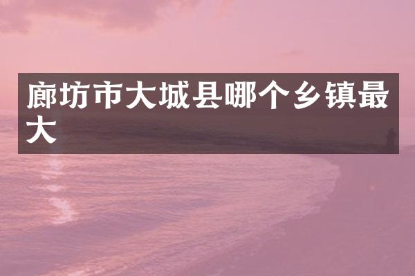 廊坊市大城县哪个乡镇最大