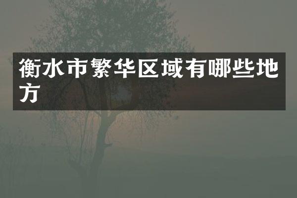 衡水市繁华区域有哪些地方