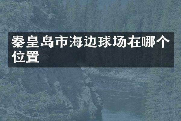 秦皇岛市海边球场在哪个位置