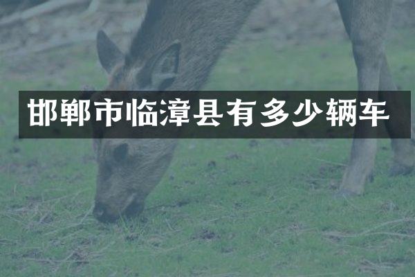 邯郸市临漳县有多少辆车