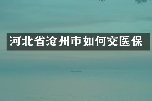 河北省沧州市如何交医保