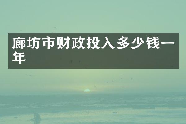 廊坊市财政投入多少钱一年
