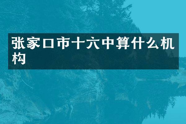 张家口市十六中算什么机构