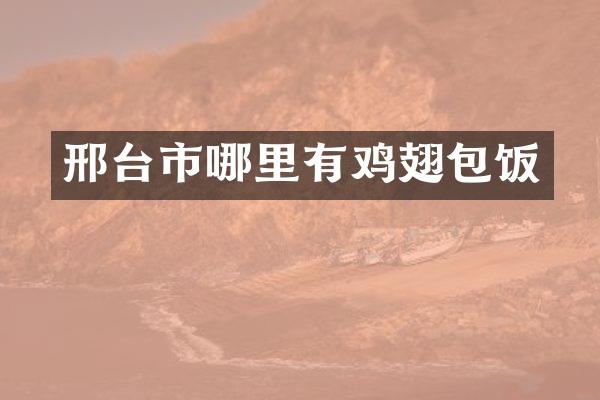 邢台市哪里有鸡翅包饭