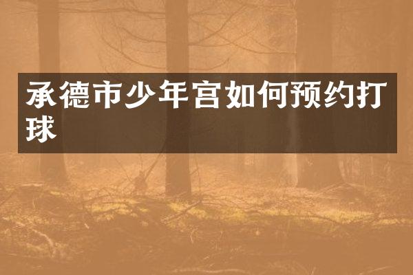 承德市少年宫如何预约打球