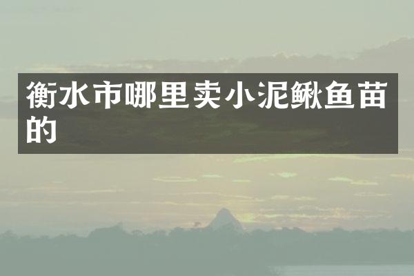 衡水市哪里卖小泥鳅鱼苗的
