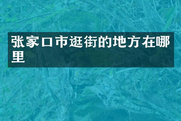 张家口市逛街的地方在哪里