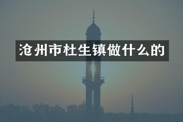 沧州市杜生镇做什么的