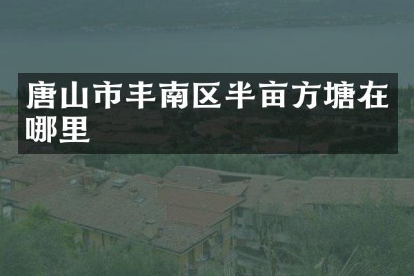 唐山市丰南区半亩方塘在哪里