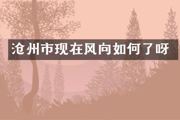 沧州市现在风向如何了呀