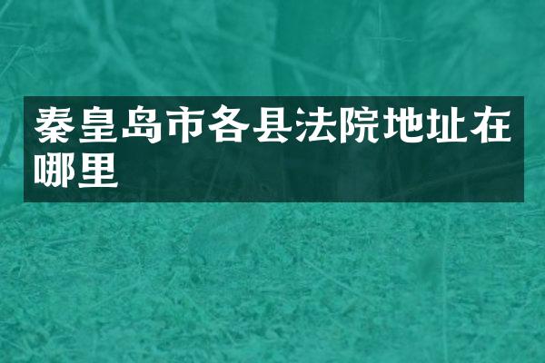 秦皇岛市各县法院地址在哪里