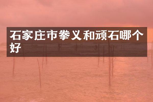 石家庄市拳义和顽石哪个好