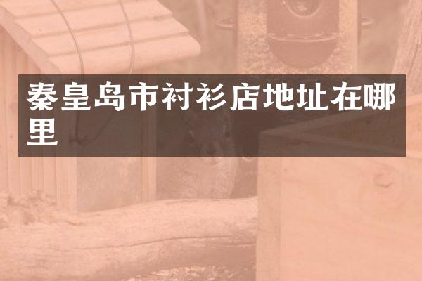 秦皇岛市衬衫店地址在哪里